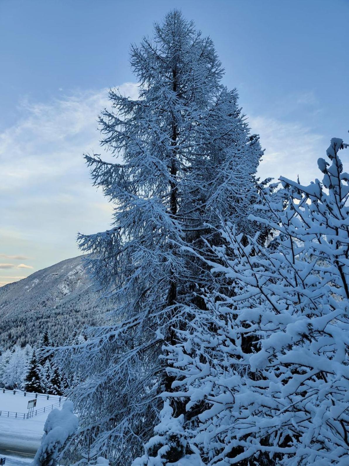 Appartamento I Larici Folgarida Buitenkant foto